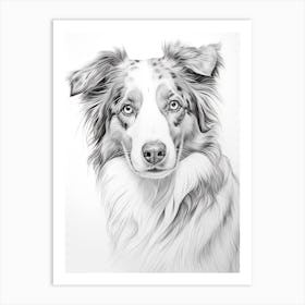 Australian Shepherd Dog, Line Drawing 1 Art Print