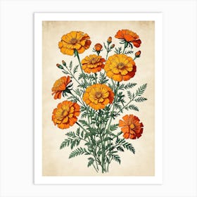 Orange Marigolds Art Print