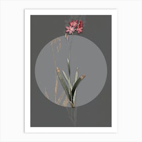 Vintage Botanical Corn Lily on Circle Gray on Gray n.0078 Art Print