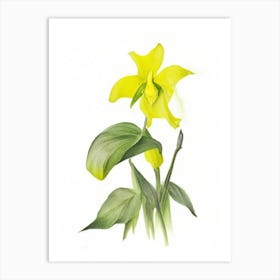 Yellow Trillium Wildflower Watercolour Art Print