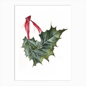 Long Eared Holly Fern Watercolour Art Print