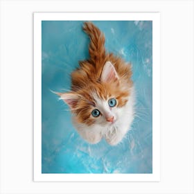 Cute Kitten With Blue Eyes Art Print