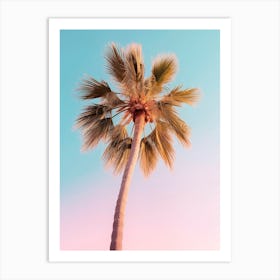 California Dreaming - The Pastel Palm Art Print