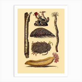 Worms And Insects Art Print