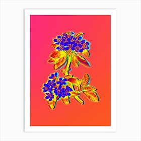 Neon Almond Leaved Pear Botanical in Hot Pink and Electric Blue n.0395 Art Print