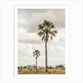 Palm Trees In A Landscape Of A National Park In The Northern Part Of Uganda In East Africa Art Print