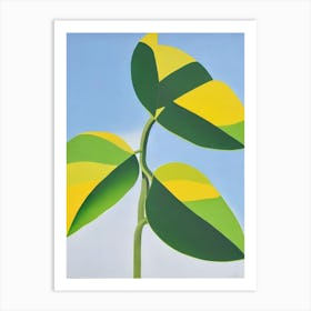 Burle Marx Philodendron Bold Graphic Art Print