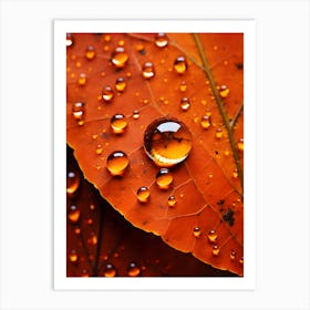 Autumn Leaves With Water Droplets Art Print