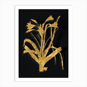 Vintage Malgas Lily Botanical in Gold on Black n.0166 Art Print