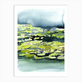 Water Lily walk Art Print