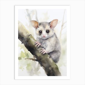 Light Watercolor Painting Of A Ringtail Possum 2 Art Print