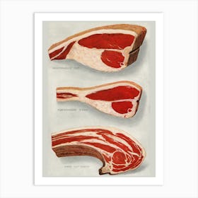 Meat Cuts Art Print