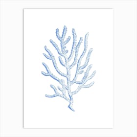 Blue Coral 1 Art Print