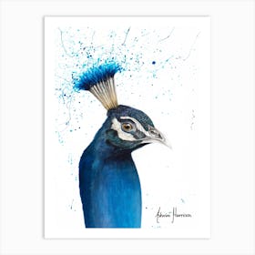 Peacock Portrait Art Print