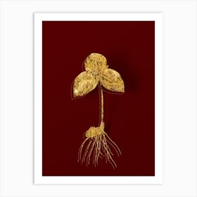 Vintage Tri Flower Botanical in Gold on Red n.0350 Art Print