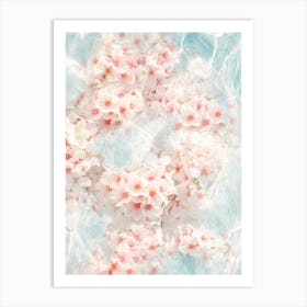 Spring Vibes - Pool Water Sakura Blossom Flowers Art Print