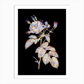 Stained Glass Harsh Downy Rose Mosaic Botanical Illustration on Black Art Print