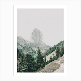 Forested Hiking Trail Art Print