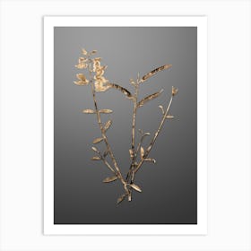 Gold Botanical Spanish Broom on Soft Gray n.4675 Art Print