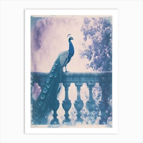 Vintage Peacock On A Banister Cyanotype Inspired 2 Art Print