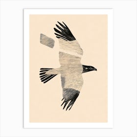 Eagle In Flight 3 Art Print