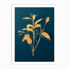 Vintage Maranta Arundinacea Botanical in Gold on Teal Blue n.0253 Art Print