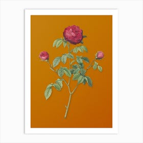 Vintage Agatha Rose in Bloom Botanical on Sunset Orange n.0809 Art Print