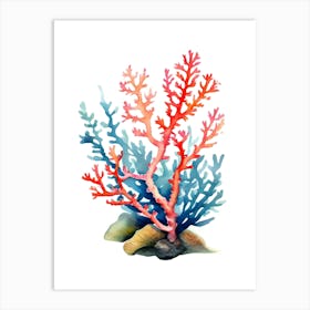 Acropora Nasuta 2 Vintage Graphic Watercolour (3) (1) Art Print