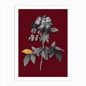 Vintage Provins Rose Black and White Gold Leaf Floral Art on Burgundy Red n.0333 Art Print