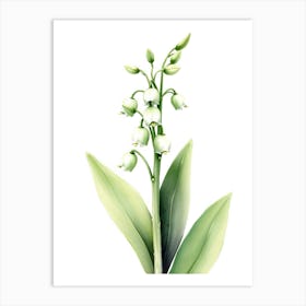 Lily Of The Valley 16 Art Print