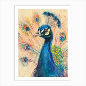 Colourful Peacock Portrait Sketch  2 Art Print