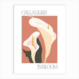 Calla Lilies In Bloom Flowers Bold Illustration 1 Art Print