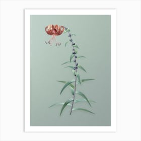 Vintage Tiger Lily Botanical Art on Mint Green n.0133 Art Print