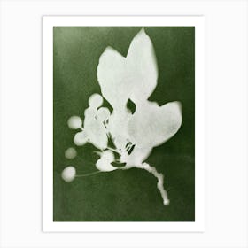 White Flower Art Print