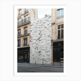 Paris Book Wall 2 Art Print