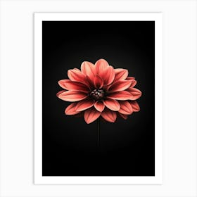 Dahlia Flower 19 Art Print