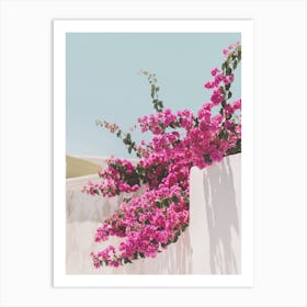 Bougainvillea Bush Art Print