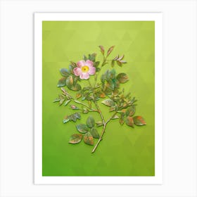 Vintage Malmedy Rose Botanical Art on Love Bird Green n.0513 Art Print