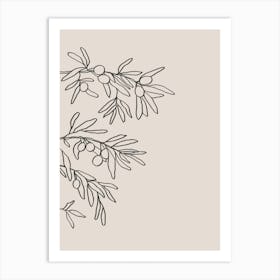 Mid Summer Olive Branch 01 Art Print