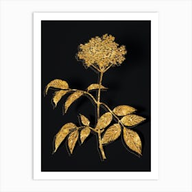 Vintage Elderflower Tree Botanical in Gold on Black n.0106 Art Print