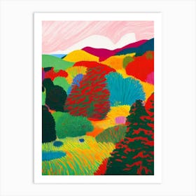 Nahuel Huapi National Park Argentina Abstract Colourful Art Print