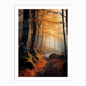 Autumn Forest 6 Art Print