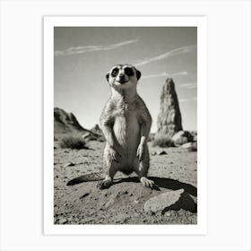 Meerkat In The Desert Art Print