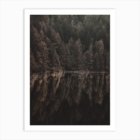 Reflection In Lake Art Print