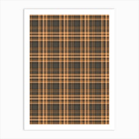 Plaid Fabric 1 Art Print