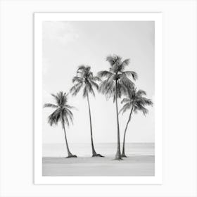 Three Palm Trees On The Beach 3 Art Print