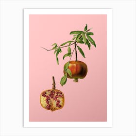 Vintage Pomegranate Botanical on Soft Pink n.0820 Art Print