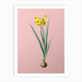 Vintage Daffodil Botanical on Soft Pink n.0876 Art Print