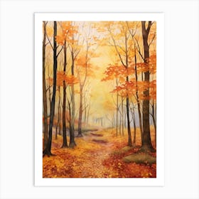 Autumn Forest Landscape Fagus Forest Germany Art Print