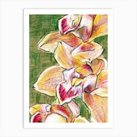 Yellow Orchids Art Print